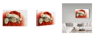 Trademark Global Francien Van Westering 'Gray Cat With Santa Hat' Canvas Art - 47" x 30"